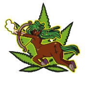 Saggitarius